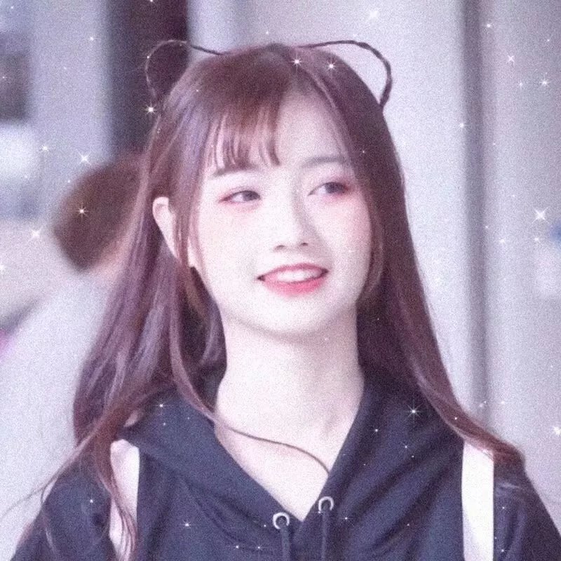 虎鲨王